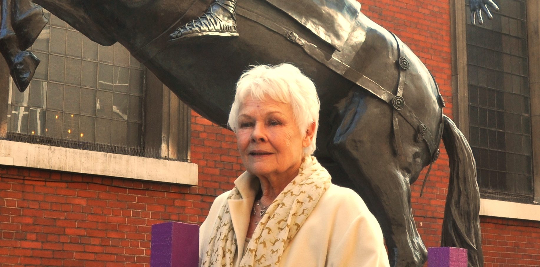 Retrato de Judi Dench